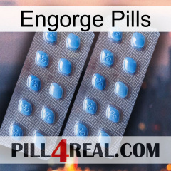 Engorge Pills viagra4